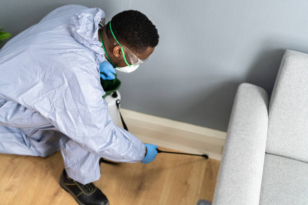 Best Fumigation Services  in Union, NJ